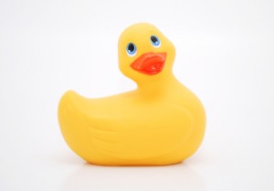 iStock_000019269988XSmall