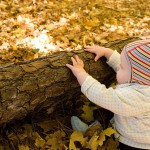 "My Child Ate… Nature!"