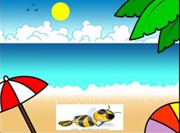 Bug on a beach