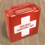 Holiday Survival Guide Part Two