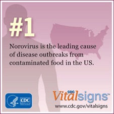 cdc norovirus