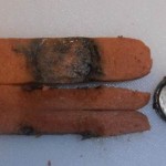 button battery burn on hotdog