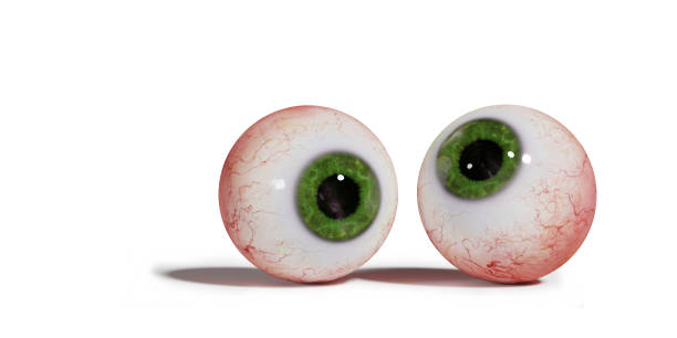 pair of googly eye balls 