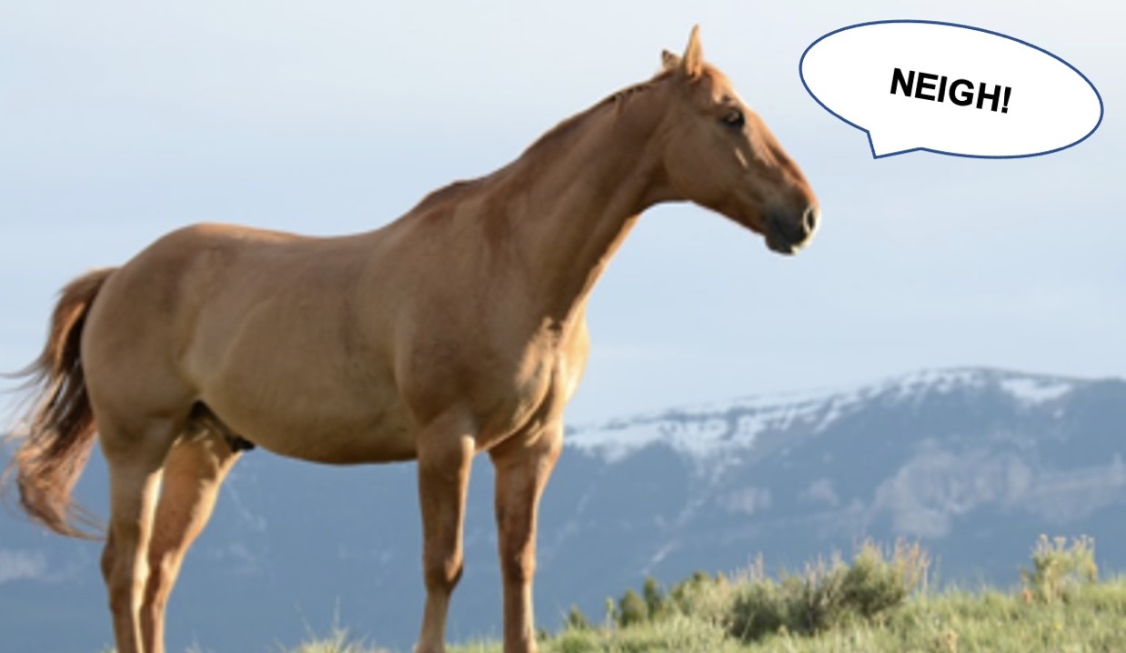 Ivermectin for COVID-19: Yay or Neigh?