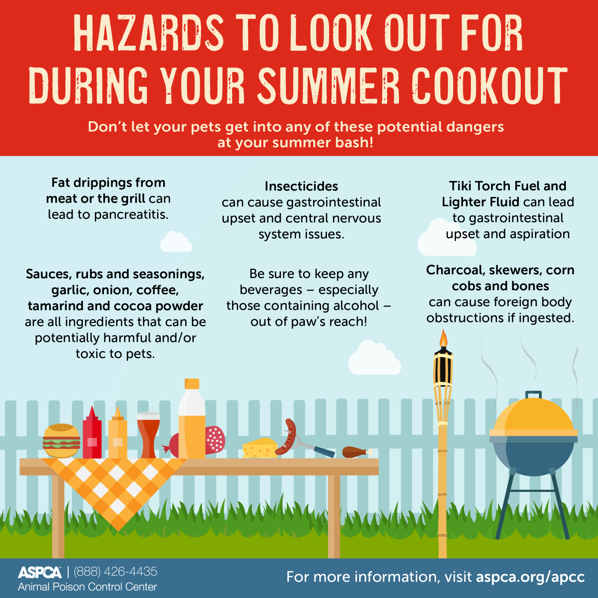 Protect Your Pooch from Outdoor Summer Hazards Fireworks, Lighter