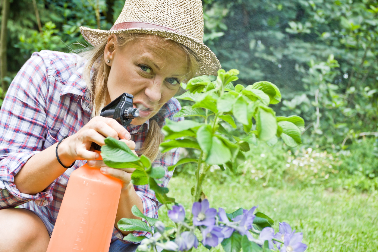 Young woman gardening and spraying a flower with insects